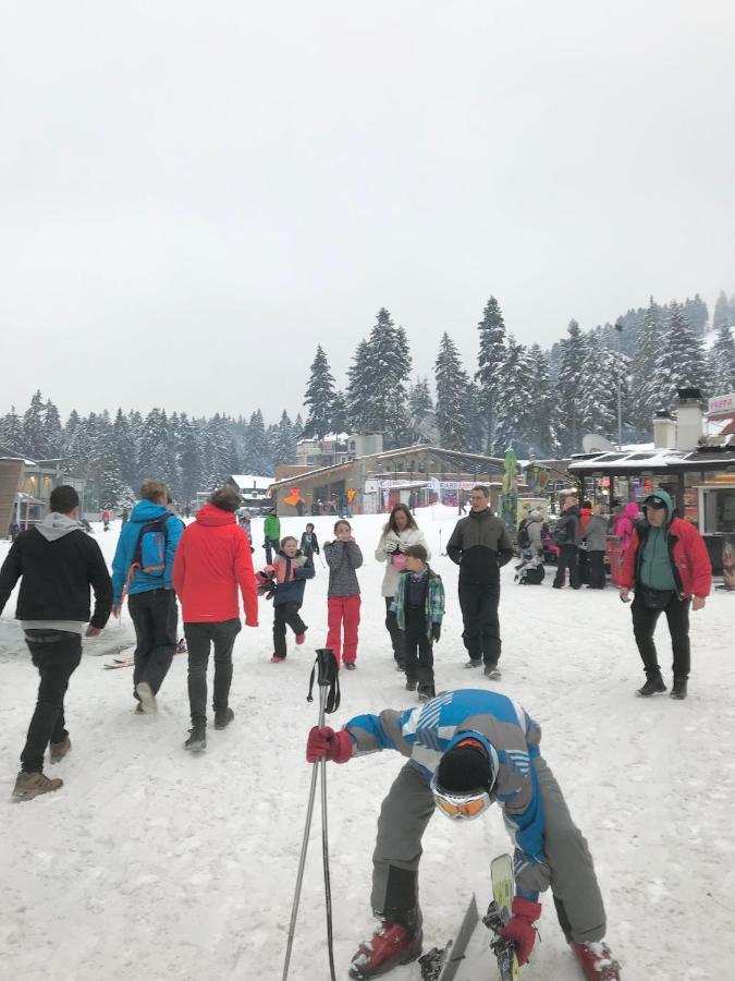 Flora Ski-Slope Studio Apartment Borovets Eksteriør bilde