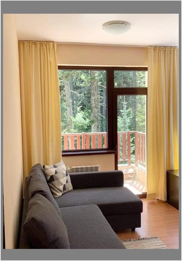 Flora Ski-Slope Studio Apartment Borovets Eksteriør bilde