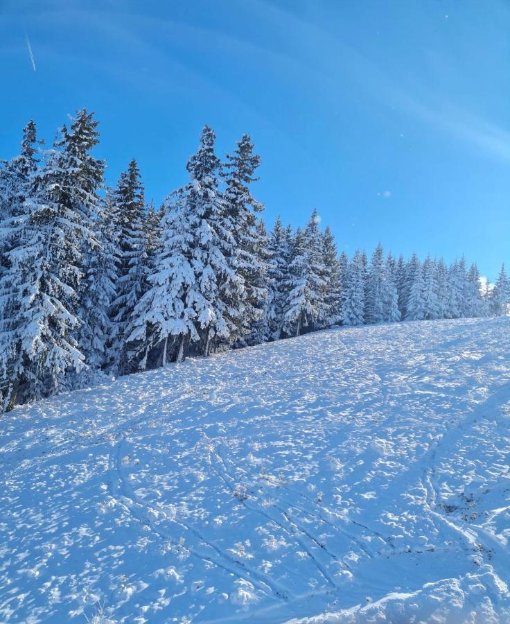 Flora Ski-Slope Studio Apartment Borovets Eksteriør bilde