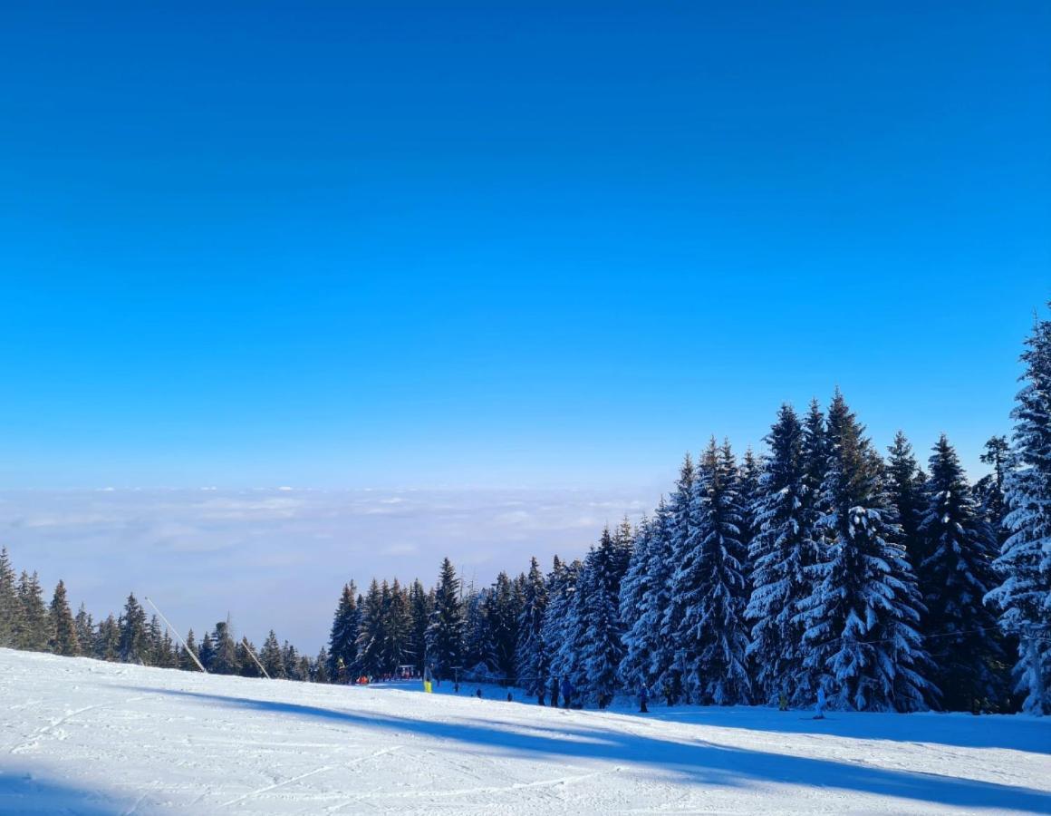Flora Ski-Slope Studio Apartment Borovets Eksteriør bilde