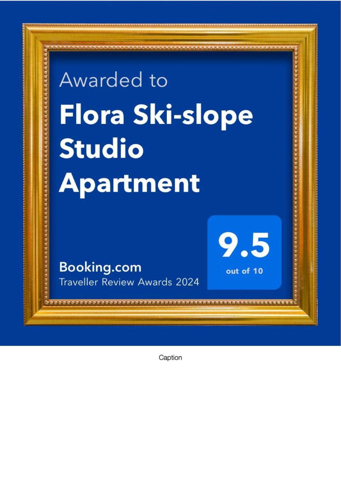 Flora Ski-Slope Studio Apartment Borovets Eksteriør bilde