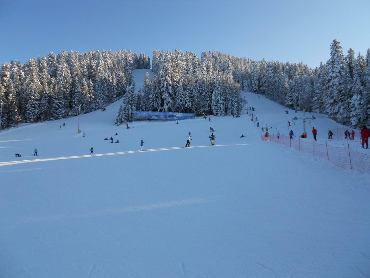 Flora Ski-Slope Studio Apartment Borovets Eksteriør bilde